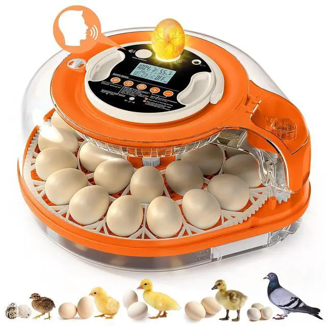 Main image of 26 Incubators for Hatching Eggs Smart Voice Control Incubator with Auto Temp Humidity Automatic Egg Turning 360° View Built in Egg Candler and Chick Holding Area for Chicken Duck Goose Quail Eggs