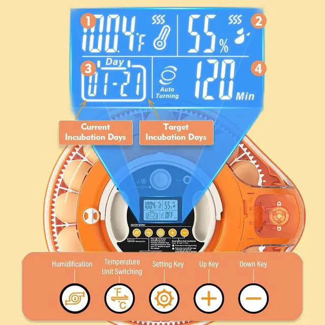 Alt view image 4 of 7 - 26 Incubators for Hatching Eggs Smart Voice Control Incubator with Auto Temp Humidity Automatic Egg Turning 360° View Built in Egg Candler and Chick Holding Area for Chicken Duck Goose Quail Eggs