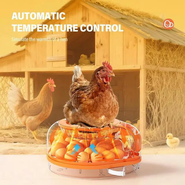 Alt view image 5 of 7 - 26 Incubators for Hatching Eggs Smart Voice Control Incubator with Auto Temp Humidity Automatic Egg Turning 360° View Built in Egg Candler and Chick Holding Area for Chicken Duck Goose Quail Eggs