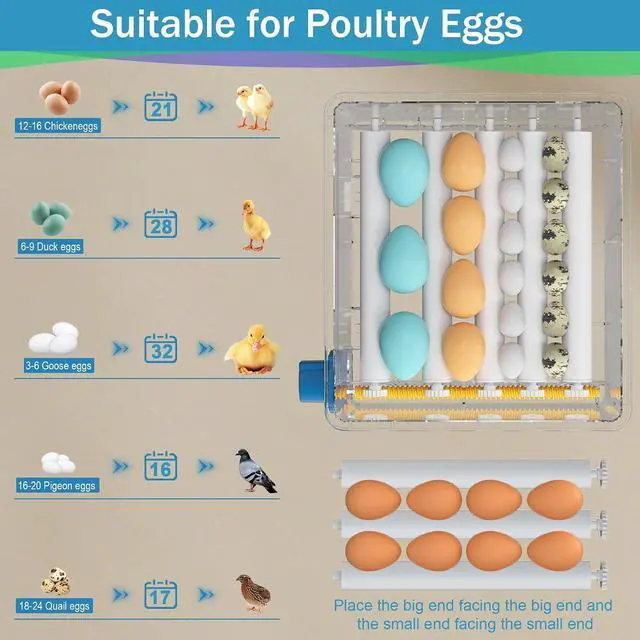 Alt view image 5 of 7 - 16 Eggs Incubators for Hatching Eggs, Egg Incubator with Automatic Egg Turning, Chicken Egg Incubator with Humidity and Incubation Day Display, Incubator with Egg Candler for Poultry(Blue)
