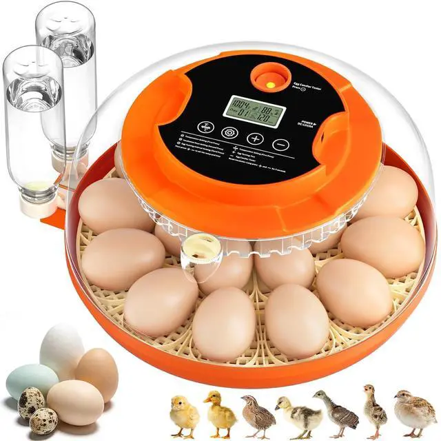 Main image of 18 Egg Incubators for Hatching Eggs, Automatic Egg Turning and Humidity Control Incubator for Hatch Chicken Duck Quail Pigeon Pheasant Partridge Home Classroom Lab-