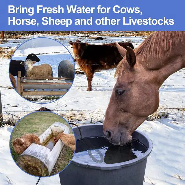 Alt view image 4 of 7 - 500W De-icer Submergible Bird Bath Heater Aluminum Cast for Livestock Poultry Horses, Cows, Birds, Wildlife Drinking Indoor Outdoors in Winter with 10 Foot Cord Birdbath Water Heater