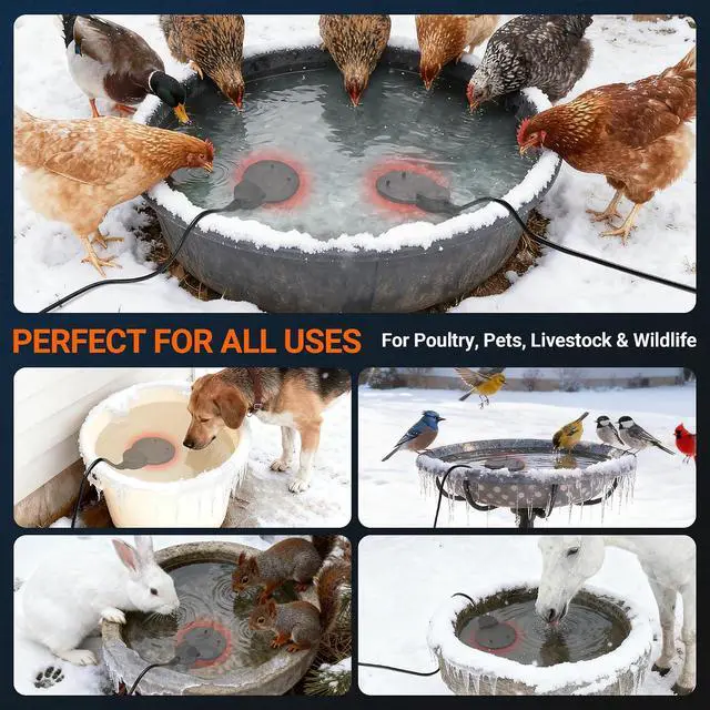 Alt view image 6 of 7 - Chicken Water Heater for Winter with Immersion Design, Bird Bath & Livestock De-Icer, Fish Tank and Water Trough Heater with Automatic Thermostat Prevents Freezing for Poultry, Turtle & Koi Pond