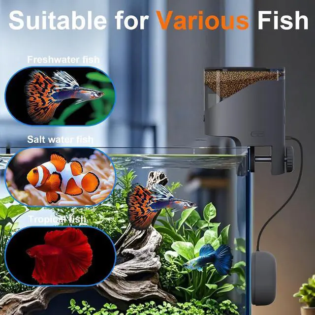 Alt view image 3 of 7 - WiFi Automatic Fish Feeder with 2.5K Camera, 2.4/5G Smart App Control, Vacation Feeding Timer, 200ml Moisture-Proof Flake Food Dispenser, Remote Precision Aquarium Feeder for 10+ Gallon Tanks