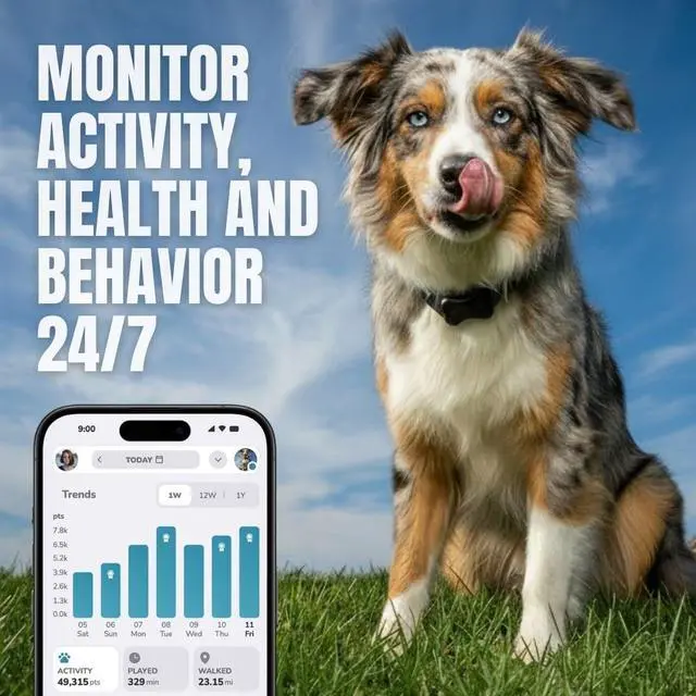 Alt view image 3 of 7 - 2 Dog Activity Monitor