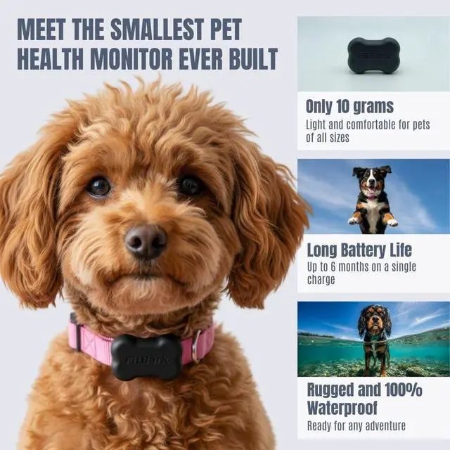 Alt view image 2 of 7 - 2 Dog Activity Monitor