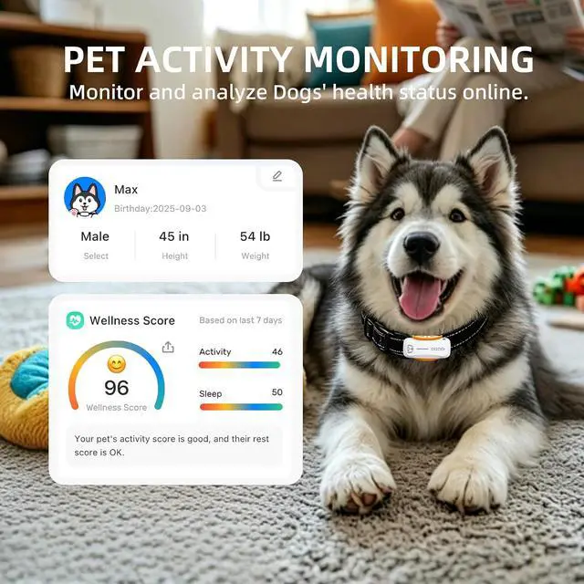 Alt view image 4 of 7 - GPS Dog Tracker, 12-Mo Sub, Real-Time Loc, E-Fence, Health Monitor
