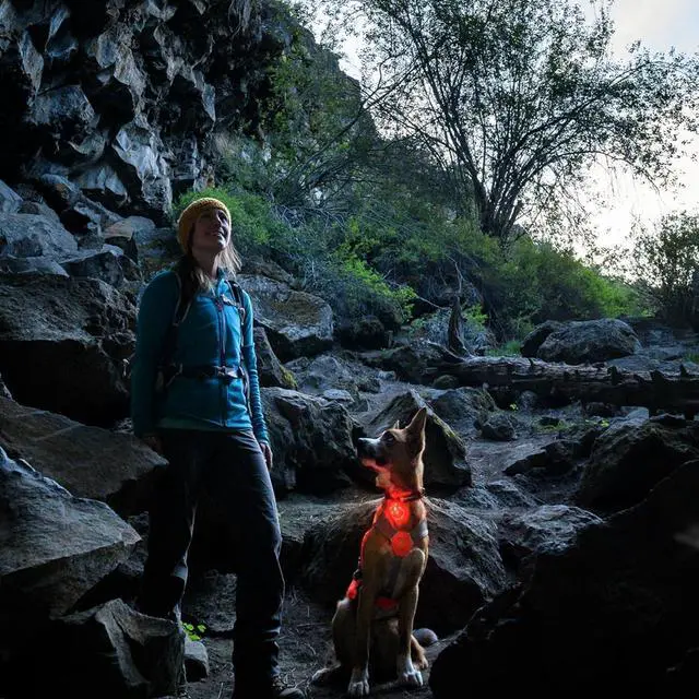Alt view image 7 of 7 - , Beacon Safety Light for Dogs, Rechargeable, Clear Lake | Durable & Waterproof, High Performance Safety Light Visible in Low-Light Conditions or Inclement Weather, 3 LED Color Options