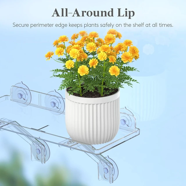 Alt view image 7 of 7 - 6" Extra Wide & Strong Window Plant Shelves with Suction Cup 4 Pack