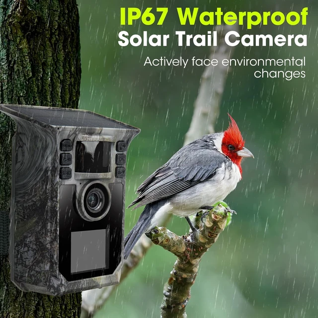 Alt view image 3 of 7 - Trail Camera 2 Pack 4K 64MP Solar Game Camera with 5000mAh Forever Power, 64GB Memory Card and Ip67 Waterproof Angle Night Vision for Wildlife Deer Outdoor Trail Cam, Monitoring Trail Cameras