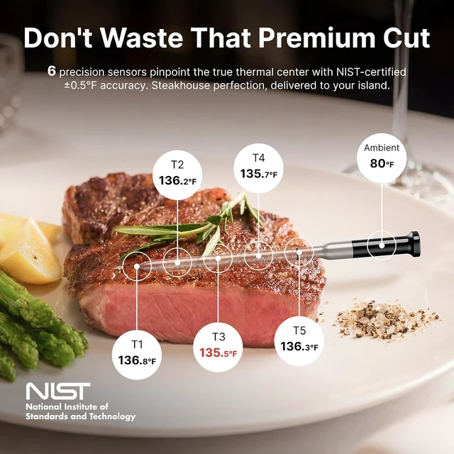 Alt view image 2 of 7 - Sync Gold Dual Wireless WiFi Meat Thermometer Carrying Case Included
