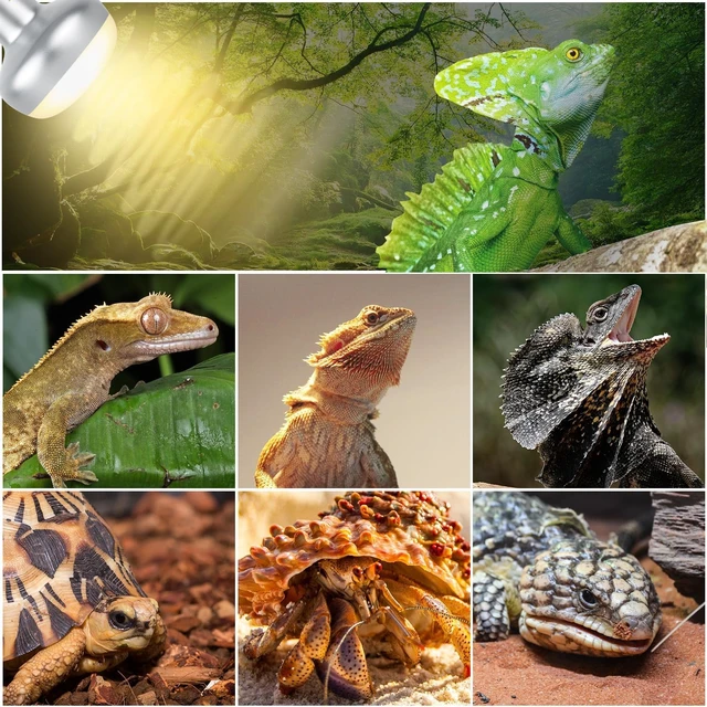 Alt view image 3 of 7 - Dual Reptile Lamp Fixture Combo, 100W UVA Daylight & 100W Infrared Basking Bulbs