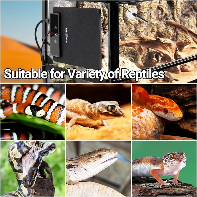 Alt view image 7 of 7 - 6" x 8" 11W Reptile Heat Pad with Adjustable Thermostat for Turtles, Geckos & Snakes