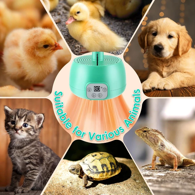 Alt view image 6 of 7 - 2-Pack Chicken Coop Heater with Smart Temperature Control & 5ft Cable for Poultry, Reptile & Pets