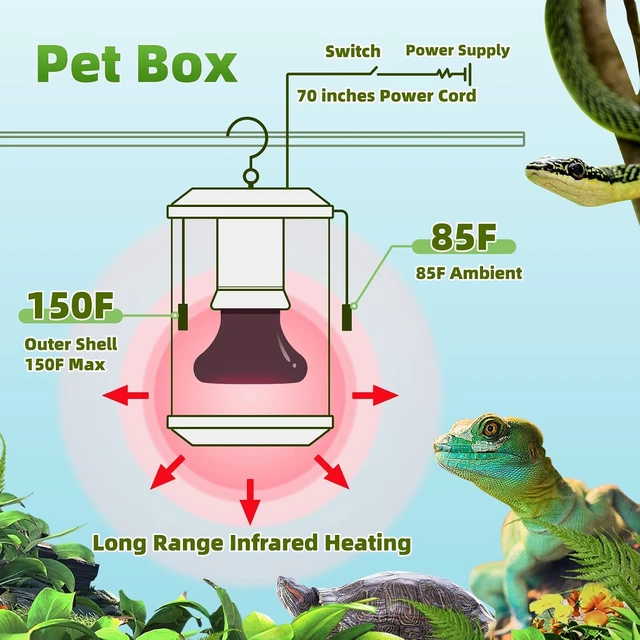 Alt view image 3 of 7 - 100W Reptile Heat Lamp with Thermostat & Chew-Proof Cord for Bearded Dragon, Snake & Turtle