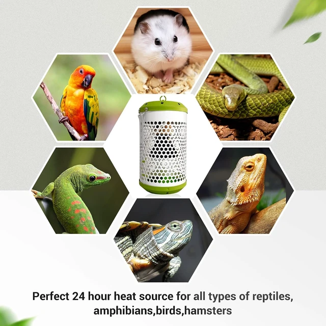 Alt view image 7 of 7 - 100W Reptile Heat Lamp with Thermostat & Chew-Proof Cord for Bearded Dragon, Snake & Turtle