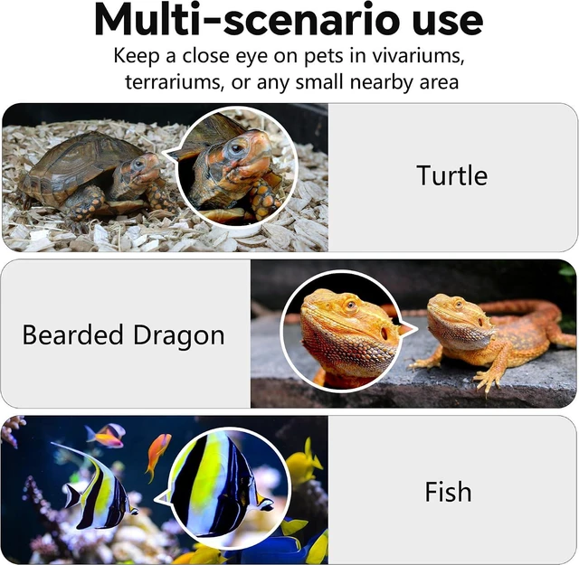 Alt view image 6 of 7 - 2K AI Reptile Aquarium Camera with Close-Focus Lens for Fish Tank & Terrarium