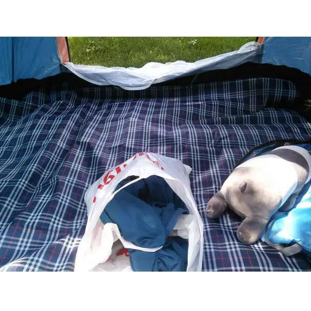 Alt view image 6 of 6 - Waterproof Picnic Blanket with Carry Strap - Foldable Sandproof Outdoor Mat for Camping, Beach, Park - 59" x 71",Navy Blue(Single Mat)