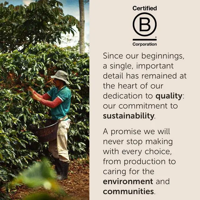 Alt view image 4 of 7 - Classico Whole Bean Coffee, Medium Roast, Classic Roast With Notes Of Caramel, Orange Blossom And Jasmine, 100% Arabica Coffee, No Preservatives, 8.8 Ounce Can (Pack Of 1)