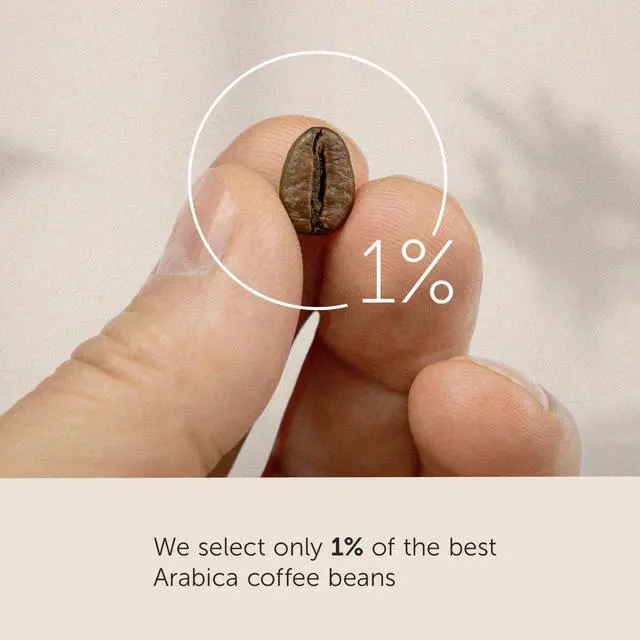 Alt view image 7 of 7 - Classico Whole Bean Coffee, Medium Roast, Classic Roast With Notes Of Caramel, Orange Blossom And Jasmine, 100% Arabica Coffee, No Preservatives, 8.8 Ounce Can (Pack Of 1)