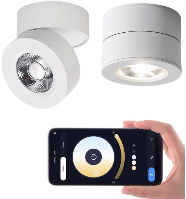 Main image of Dimmable LED Ceiling Spotlight 360°Adjustable -Tuya Smart Life Surface Mounted 12W COB Art Lighting-Hard Wired Ceiling Downlight for Mural Display Corridor Background wall (White, 3.90"*2.84")
