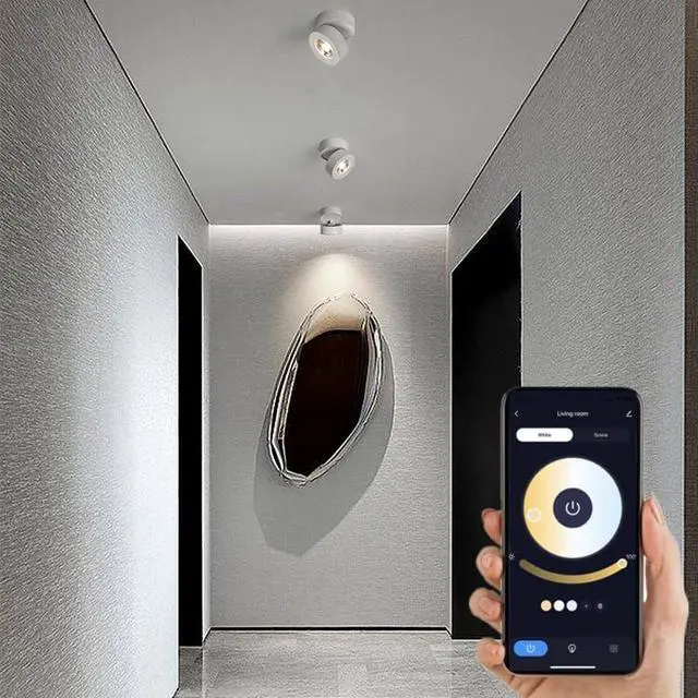 Alt view image 6 of 7 - Dimmable LED Ceiling Spotlight 360°Adjustable -Tuya Smart Life Surface Mounted 12W COB Art Lighting-Hard Wired Ceiling Downlight for Mural Display Corridor Background wall (White, 3.90"*2.84")