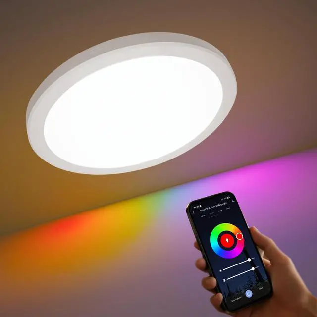 Main image of 12 Inch Smart Ceiling Light, 2400LM RGBCW LED Flush Mount Ceiling Light Work with App & Voice Control, 2700K-6500K Dimmable LED Ceiling Light Fixture for Living Room Bedroom Game Room, 1 Pack