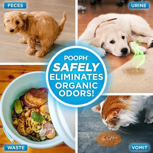 Alt view image 3 of 7 - Pet Odor Eliminator, 32oz - Eliminates Odors at the Molecular Level, Dogs, Cats, Freshener, Eliminator, Urine, Poop, Pee, Deodorizer, Natures, Puppy, Fresh, Clean, Furniture, Potty