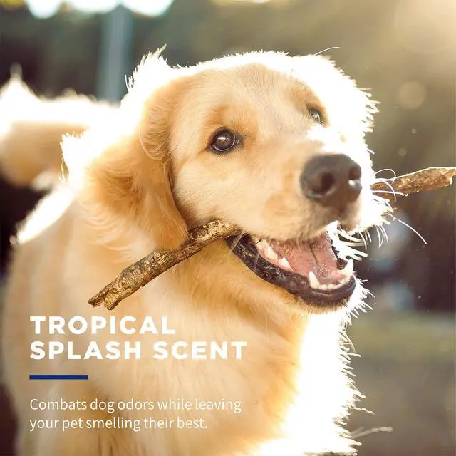 Alt view image 5 of 7 - for Pets Deodorizing Dog Wipes with Baking Soda, Tropical Splash Scent - Multipurpose Deodorizing Pet Grooming Wipes in Resealable Canister, 50 Count