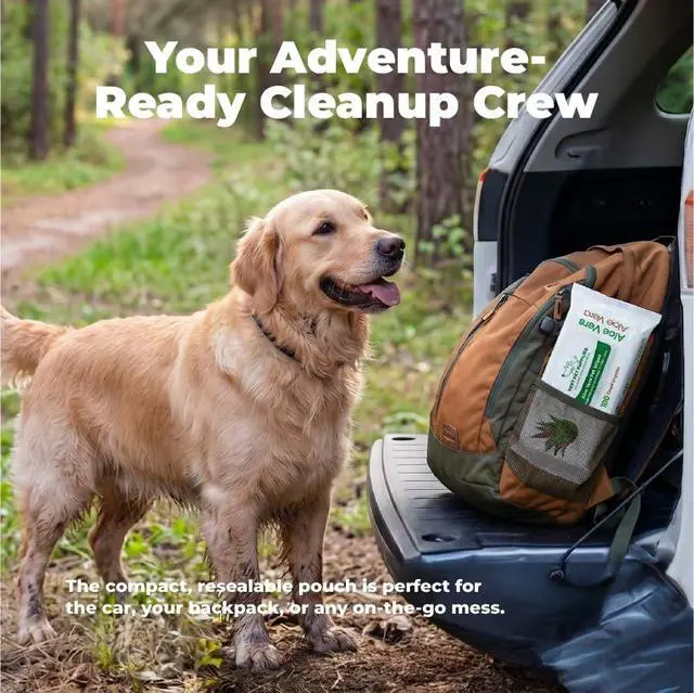 Alt view image 4 of 7 - 8" x 9" Large Unscented Dog Wipes - Cleaning and Deodorizing for Paws and Coat - Gentle Formula with Aloe Vera Vitamin E for Puppies and Cats - 100 Count