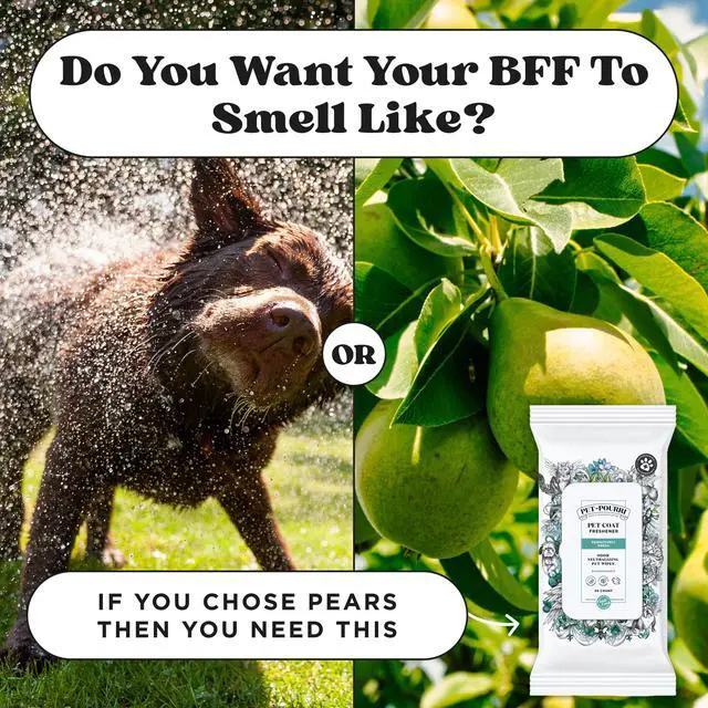Alt view image 6 of 7 - Pawsitively Fresh Deodorizing Pet Wipes Quick Cleaning Wipes for Dogs & Cats Plant Based Ingredients Vet Recommended Cleaner Odor Remover Wipes for Paw, Fur & Skin Soothing
