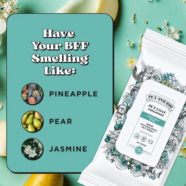 Alt view image 7 of 7 - Pawsitively Fresh Deodorizing Pet Wipes Quick Cleaning Wipes for Dogs & Cats Plant Based Ingredients Vet Recommended Cleaner Odor Remover Wipes for Paw, Fur & Skin Soothing