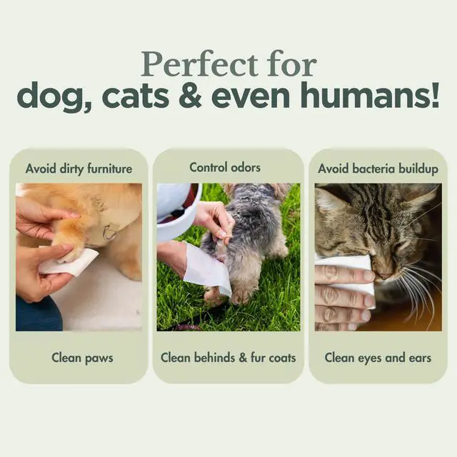 Alt view image 7 of 7 - Dog Wipes Fragrance-Free, Alcohol-Free, Hypoallergenic Pet Grooming Wipes with Aloe Vera, Biodegradable, for Dogs & Cats: Paws, Face, Ears & Butt (70 Count)