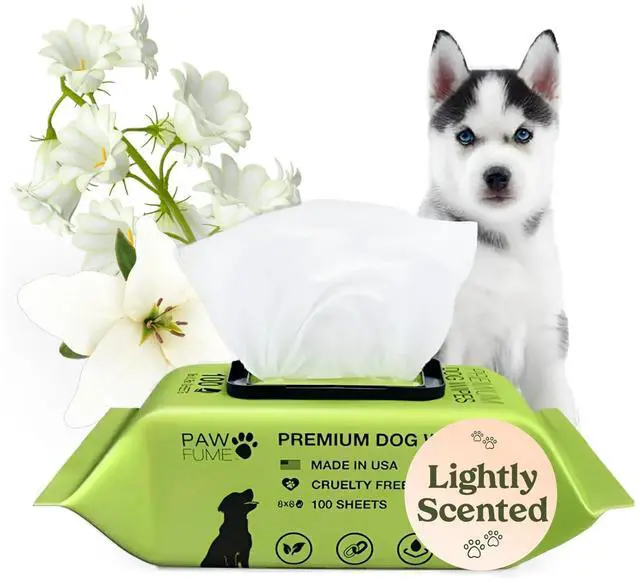 Main image of Dog Wipes 100 Count, Pet Wipes Hypoallergenic & Gentle Dog Wipes for Eyes, Face, Butt, and Paws Cleaning & Deodorizing, Grooming Tear Stain Wipes for Puppy, Adult Dogs & Cats