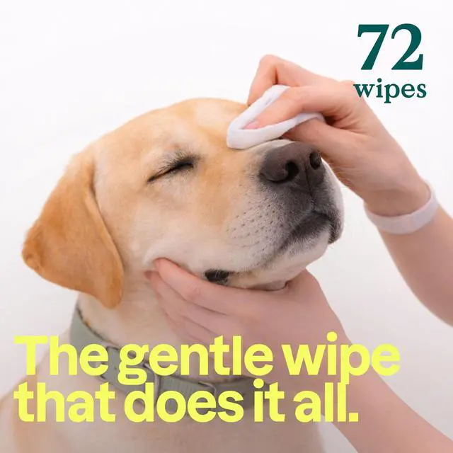 Alt view image 3 of 7 - Pet Wipes for Dogs & Cats, 99% Water, EWG Verified, Gentle & Unscented Cleaning Wipes for Paws, Ears, Face & Body, Deodorizing, Safe for Puppies & Kittens, 72 count