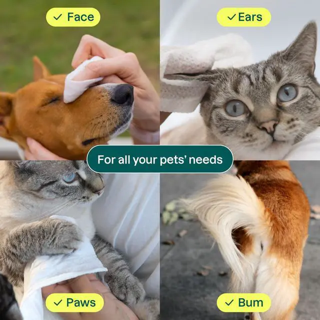 Alt view image 4 of 7 - Pet Wipes for Dogs & Cats, 99% Water, EWG Verified, Gentle & Unscented Cleaning Wipes for Paws, Ears, Face & Body, Deodorizing, Safe for Puppies & Kittens, 72 count