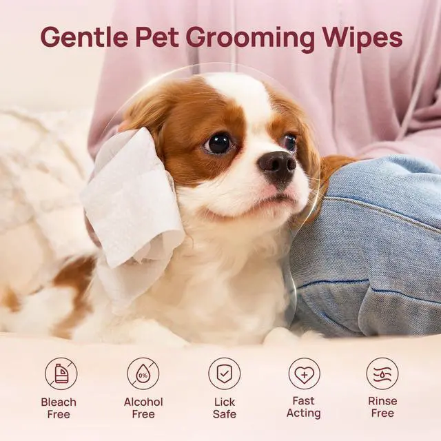 Alt view image 6 of 7 - Wipes for Dogs & Cats, Daily Pet Cleaning Wipes for Paws, Butt, Face & Fur, Waterless Grooming Wipes for Dogs, Cats & Horses, Soft Textured Pet Wipes, 100 Count