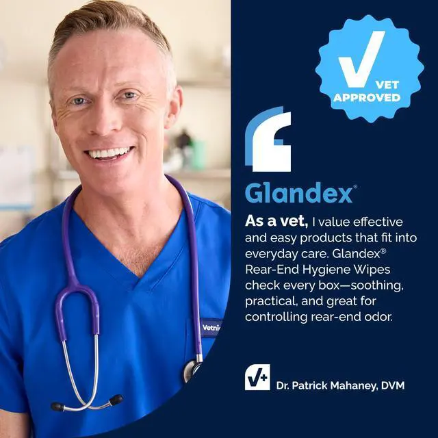 Alt view image 7 of 7 - Glandex Rear End Wipes for Dogs & Cats, Anal Gland Hygiene & Deodorizing Dog Wipes for Paws and Butt, Boot The Scoot with DeoPlex Enzyme, Aloe & Vitamin E (75ct)