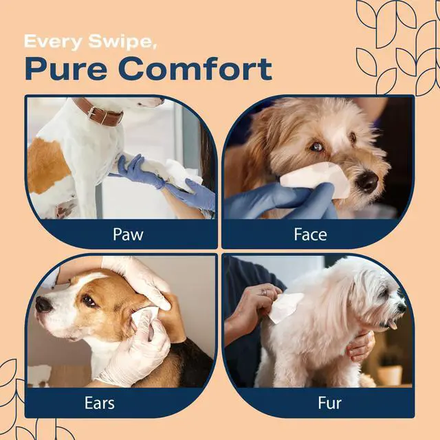 Alt view image 5 of 6 - Dog Wipes for Paws and Butt - Plant Based Unscented (Pack of 400) - Pet Wipes for Dogs and Cats - Deodorizing Non Toxic Dog Wipes, +12 Additional Travel Wipes