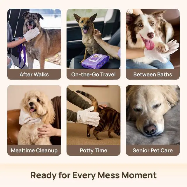 Alt view image 5 of 7 - Dog Wipes Cleaning Deodorizing Glove Wipes for Dogs, Cats & Horses, Hypoallergenic Hydrating & Nourishing Pet Wipes for Eyes, Ears, Butt & Paws, No-Rinse, 6pcs Coconut Scent