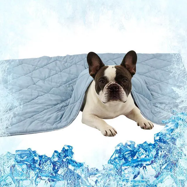 Main image of 29x40in Cooling Blanket for Dogs - Machine Washable Soft Blanket with Q-MAX>0.4, Fits Small Medium Dogs Cats, Summer Cooling Mat for Dog Kennel Car Seat Indoor Furniture Couch Sofa Protector