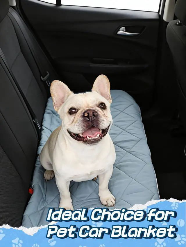 Alt view image 6 of 7 - 29x40in Cooling Blanket for Dogs - Machine Washable Soft Blanket with Q-MAX>0.4, Fits Small Medium Dogs Cats, Summer Cooling Mat for Dog Kennel Car Seat Indoor Furniture Couch Sofa Protector