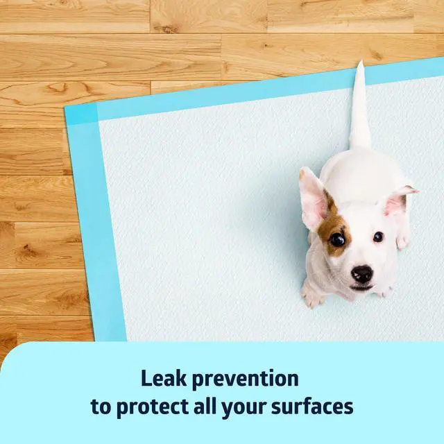 Alt view image 5 of 7 - Light Absorbency Underpad, 17" x 24", 100 Count, Disposable Chucks, Bed, Furniture & Surface Protection, For Kids, Adults, Elderly, Puppy Pad, Changing Pad, Incontinence Pee Pad