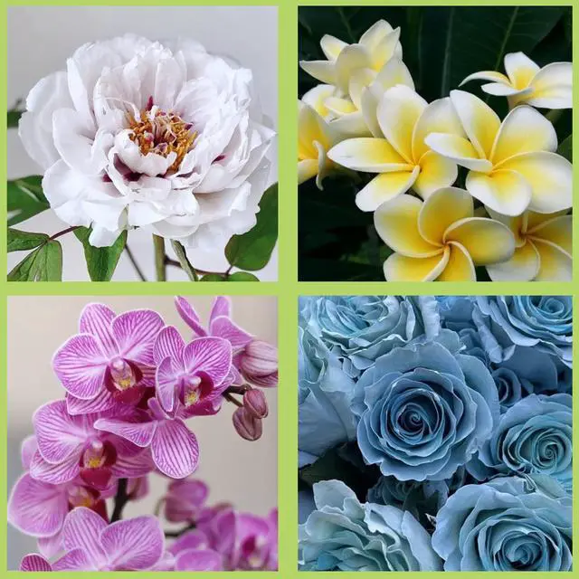 Alt view image 6 of 7 - Flower Silicone Veining Mold Rose Veined Fondant Molds Set Of 6 | Gum Paste Peony Flower Mold Plumeria Daisy Orchid Molds Wedding Cake Decorating Cupcake Topper Candy Chocolate Polymer Clay