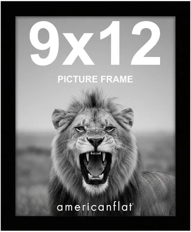 Main image of 9x12 Picture Frame - Engineered Wood - Black | Shatter-resistant glass, wall or tabletop display with included easel, sawtooth hangers included