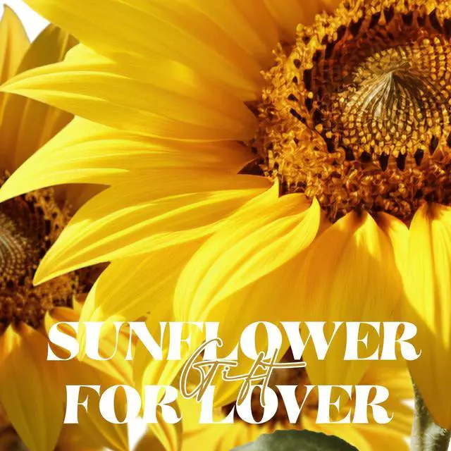 Alt view image 5 of 7 - Mothers Day Sunflower Gifts for Mom Birthday Gift for Women, LED Glass Dome Preserved Eternal Flower Home Decor, for Mom Grandma Wife