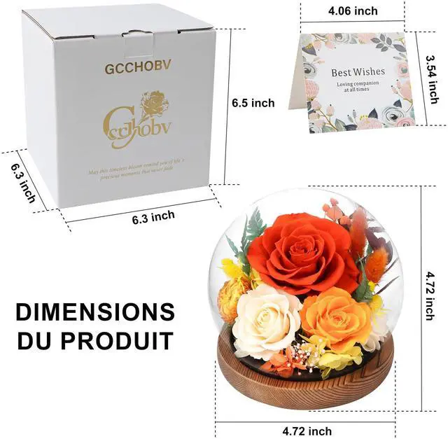Alt view image 2 of 7 - Flowers for Delivery, Birthday Gifts for Women Grandma | Preserved Rose in Glass Dome Mother Days Valentines Anniversary for Girlfriend Wife Her(Terracotta)