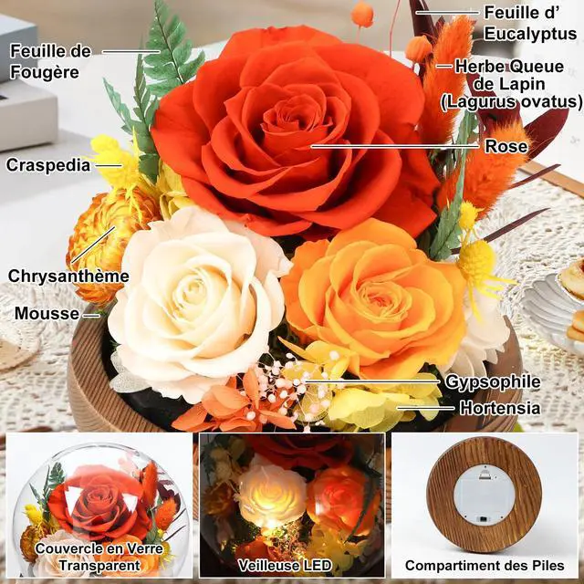 Alt view image 3 of 7 - Flowers for Delivery, Birthday Gifts for Women Grandma | Preserved Rose in Glass Dome Mother Days Valentines Anniversary for Girlfriend Wife Her(Terracotta)