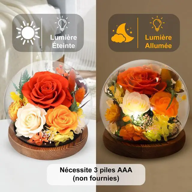 Alt view image 4 of 7 - Flowers for Delivery, Birthday Gifts for Women Grandma | Preserved Rose in Glass Dome Mother Days Valentines Anniversary for Girlfriend Wife Her(Terracotta)