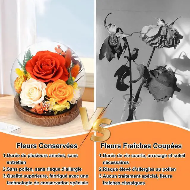 Alt view image 5 of 7 - Flowers for Delivery, Birthday Gifts for Women Grandma | Preserved Rose in Glass Dome Mother Days Valentines Anniversary for Girlfriend Wife Her(Terracotta)